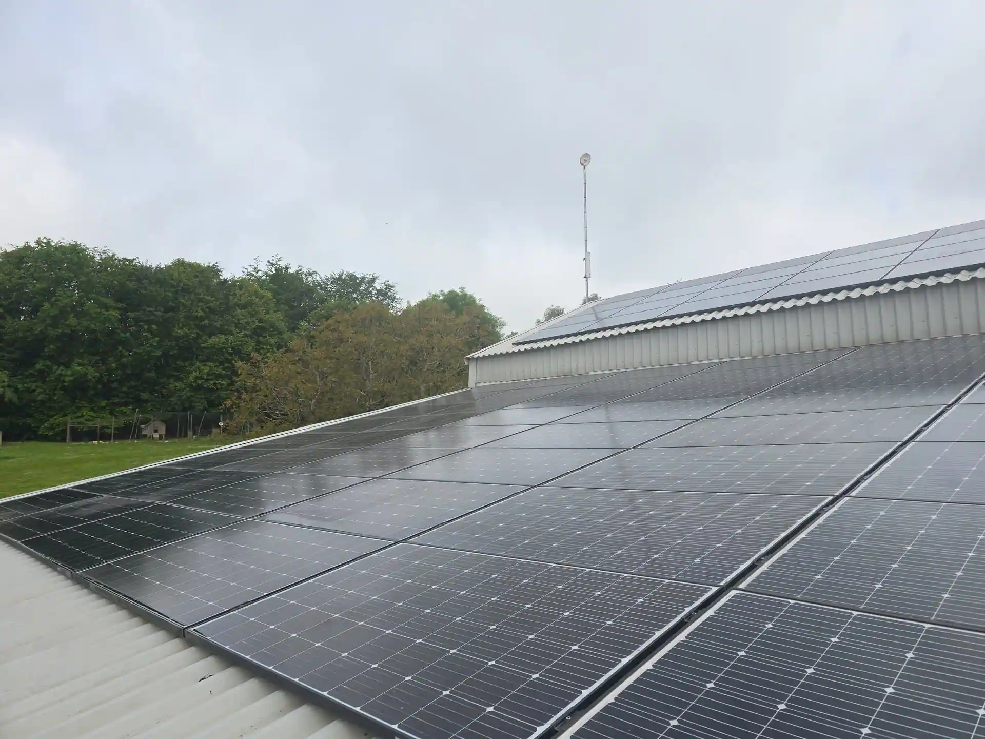 Commercial solar panel cleaning