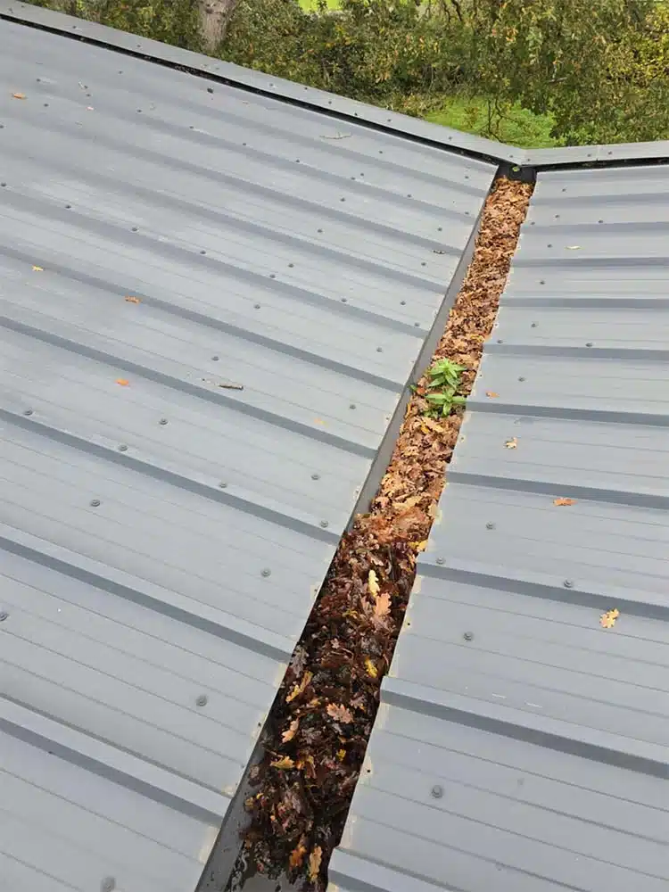 Gutter inspection and outlets